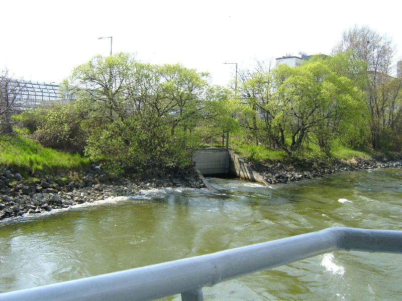 noch mehr Donaukanal